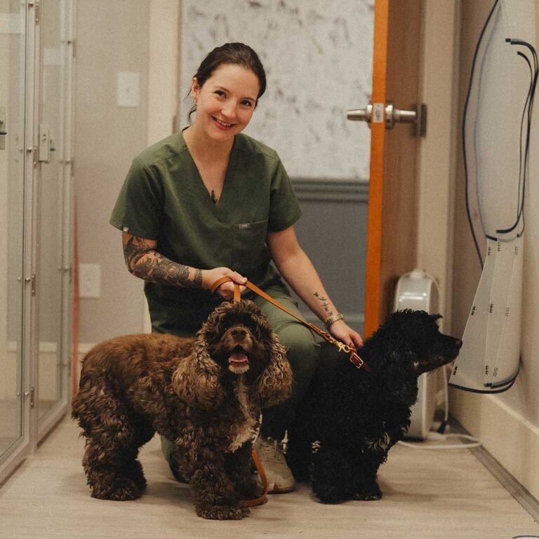 Vet tech with 2 happy terrier dogs after canine surgery at Seacoast Emergency and Referral Veterinary Hospital