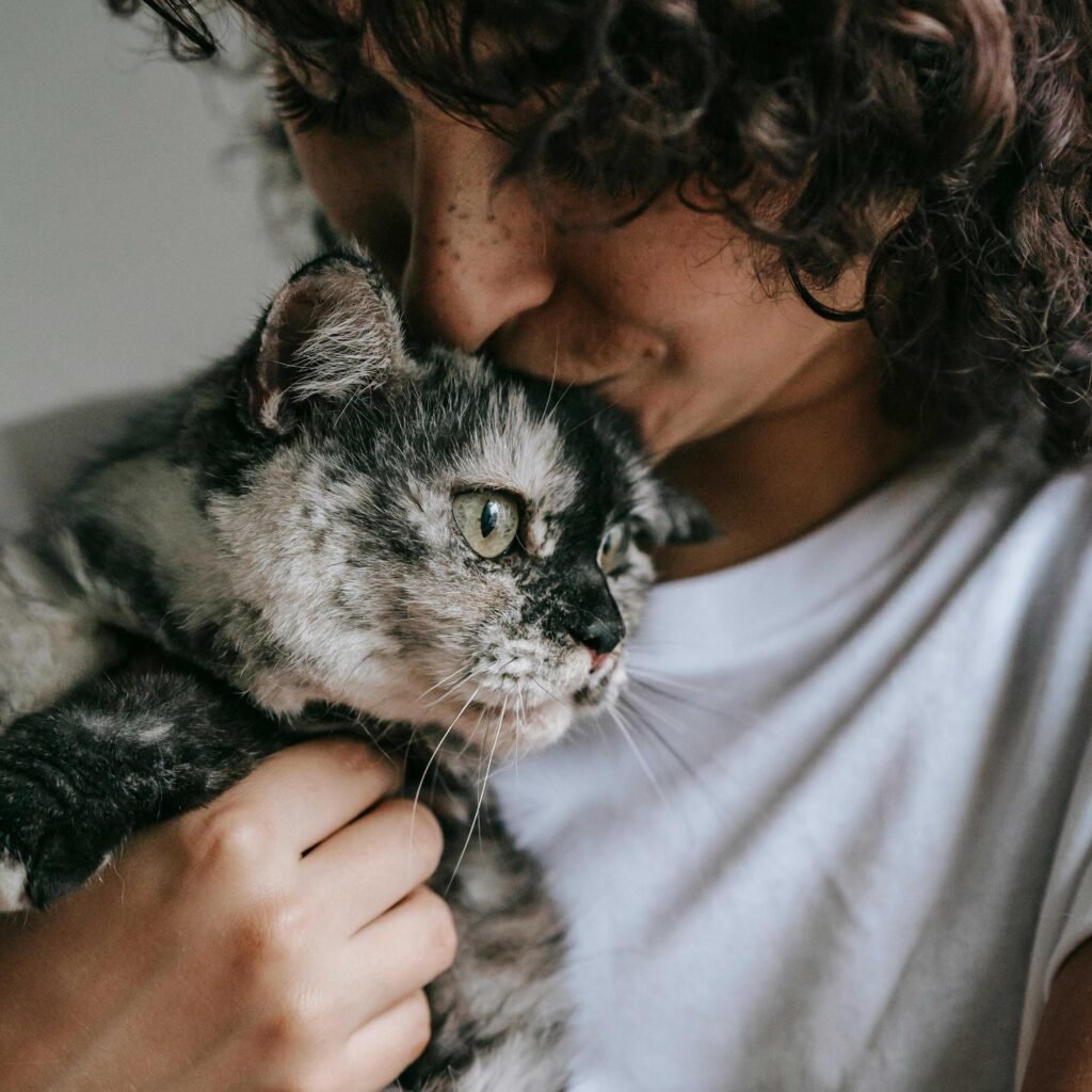 cat in owners arms before pet euthanasia