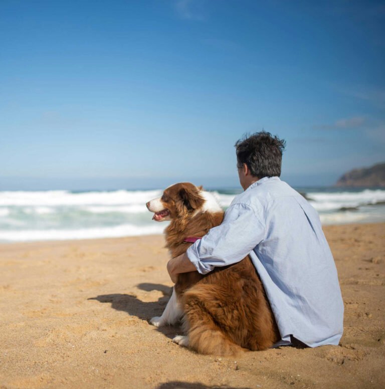 Man with his sick dog sitting on the beach looking at the ocean