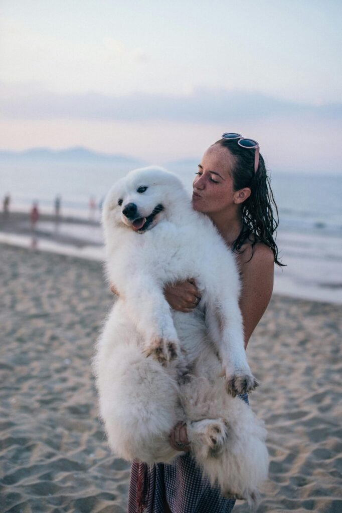 Woman holding her giant, white fluffy dog