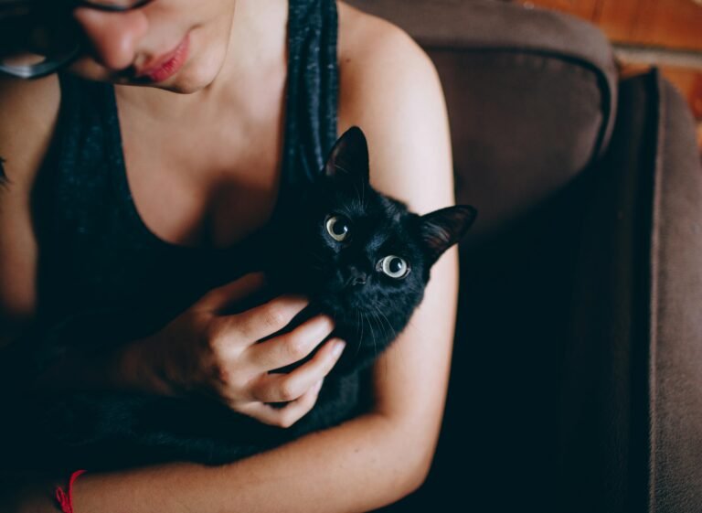 Black cat with mom