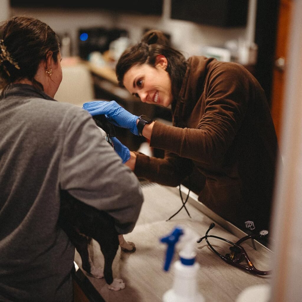 Vet tech helping with cancer diagnosis at SERV