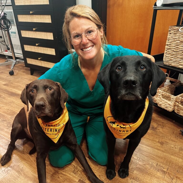 Emily Salls-Lambert at Seacoast Emergency and Referral Veterinary Hospital